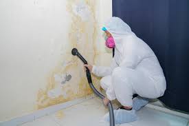 Reliable Wauconda, IL Mold Removal Services Solutions